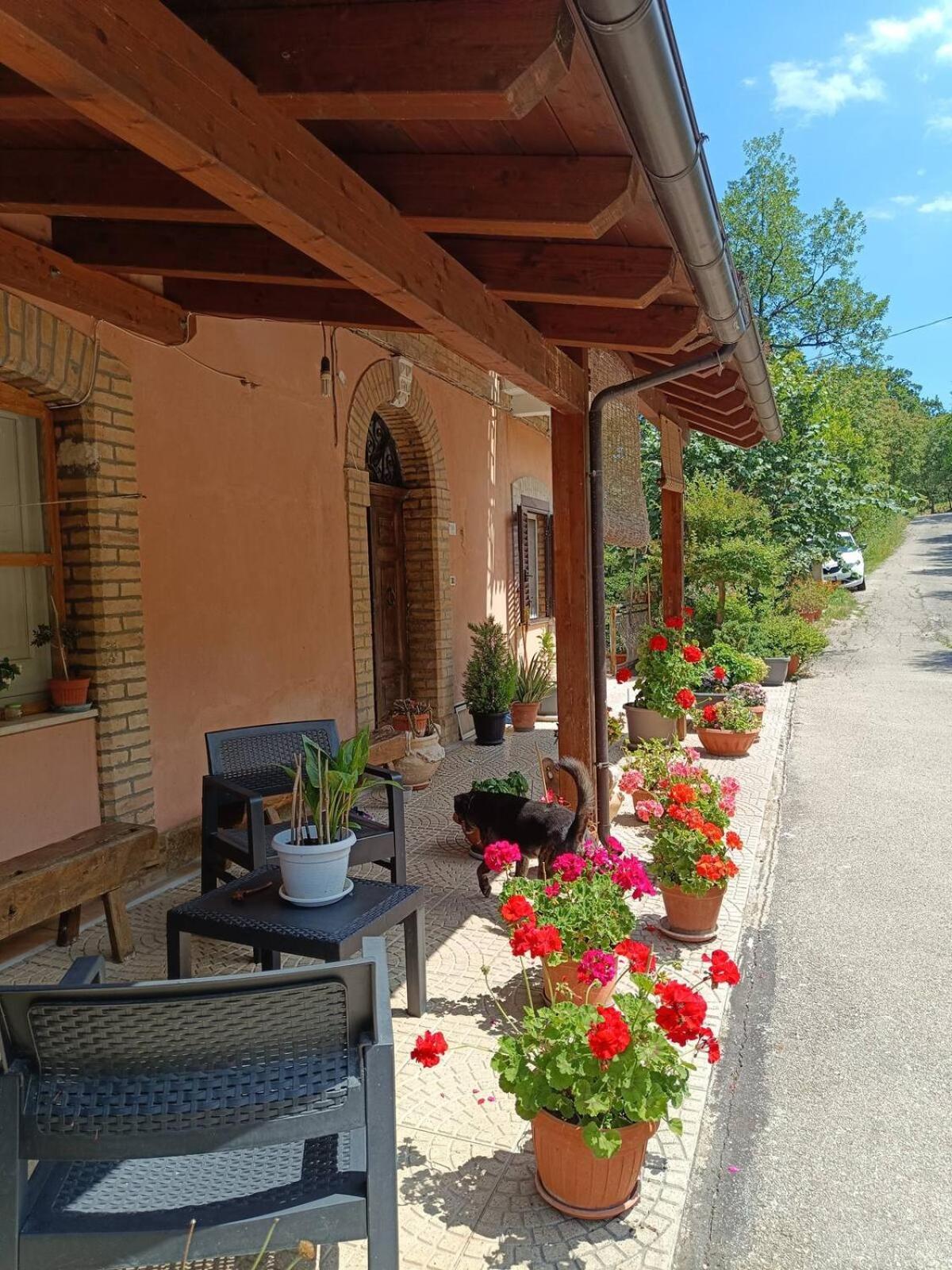 Alloggio Intero In Casa Contadina Nel Verde Ai Piedi Della Majella - Agricasa Caprafico Casoli (Abruzzo) Exterior foto